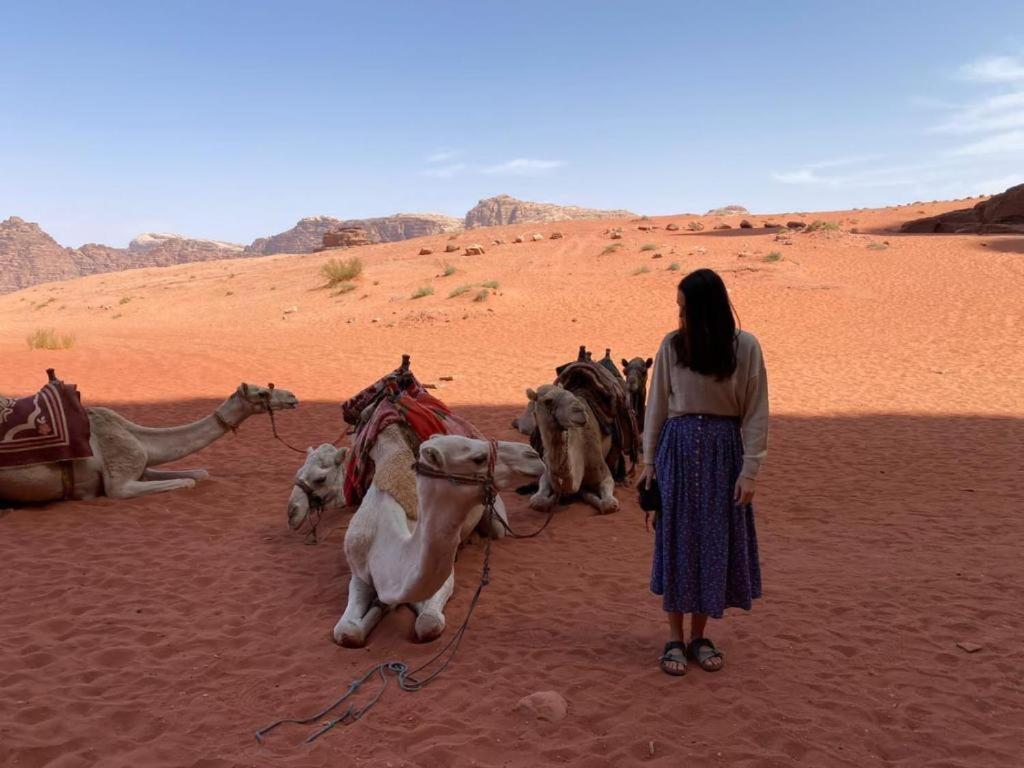 Mojo Camp, Wadi Rum Exteriér fotografie