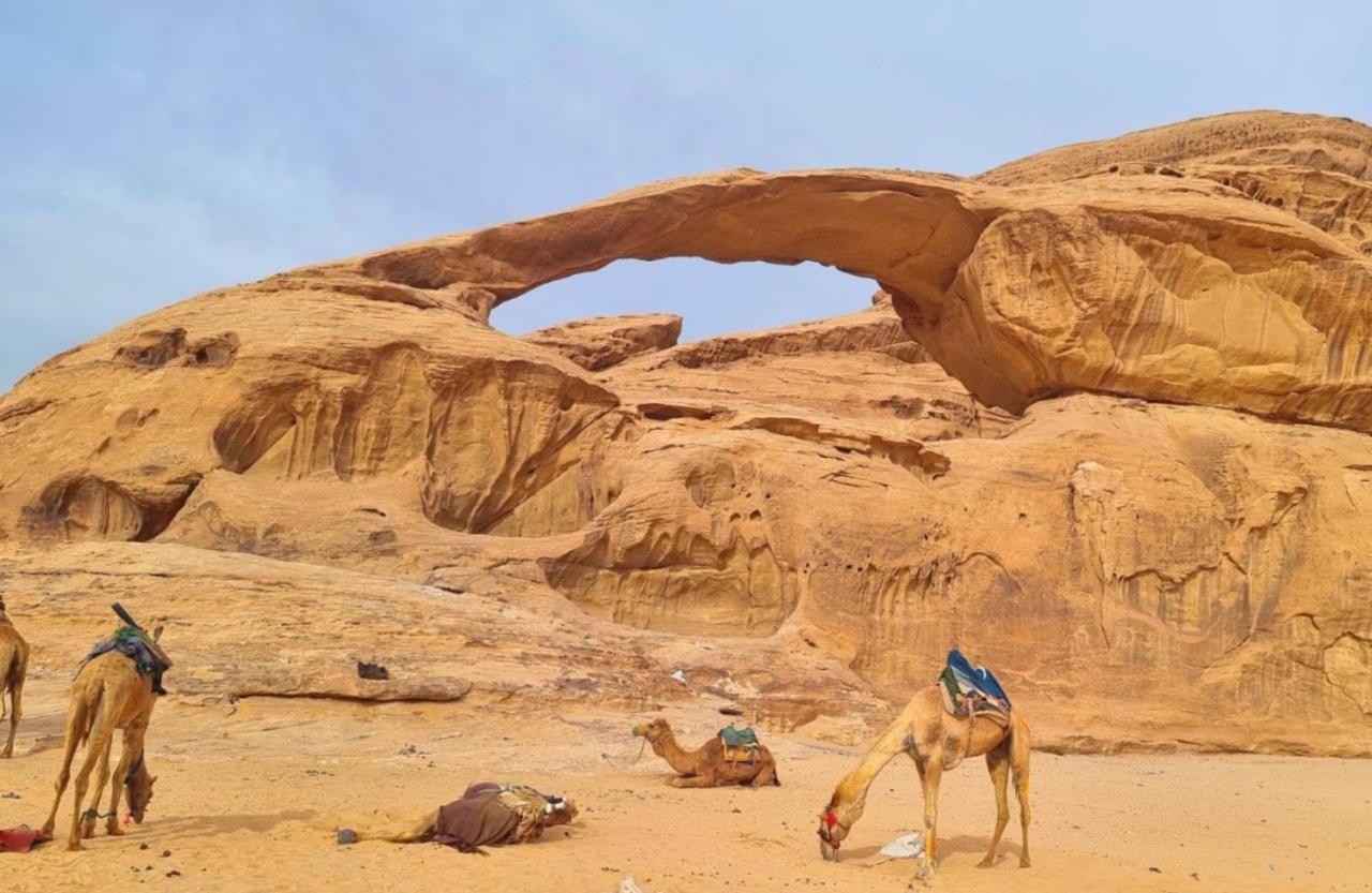 Mojo Camp, Wadi Rum Exteriér fotografie
