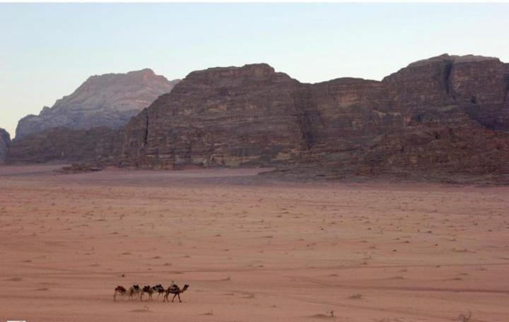 Mojo Camp, Wadi Rum Exteriér fotografie