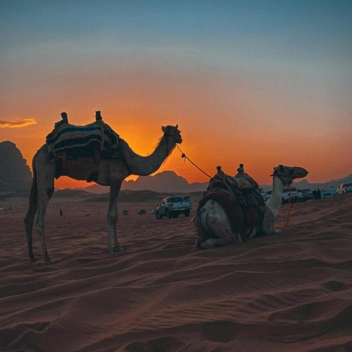 Mojo Camp, Wadi Rum Exteriér fotografie